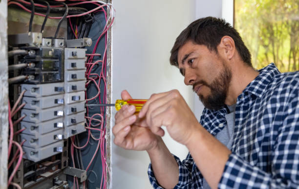 Best Electric Panel Repair  in Hamilton, IN